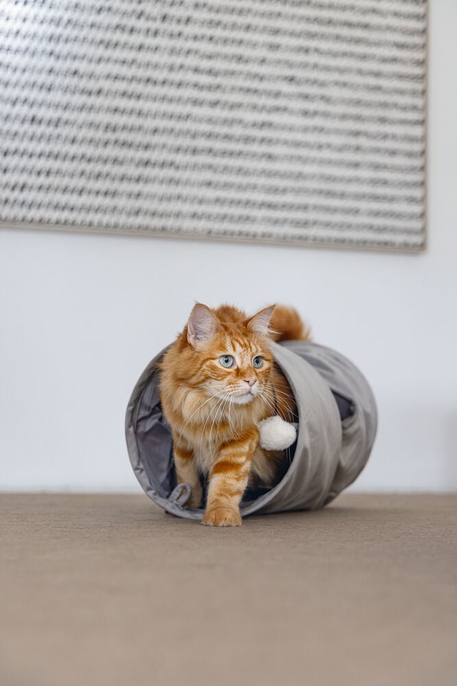 Designed by Lotte Cylla - Kattentunnel - 25.00 cm - Grijs - 65.00 cm - 25.00 cm
