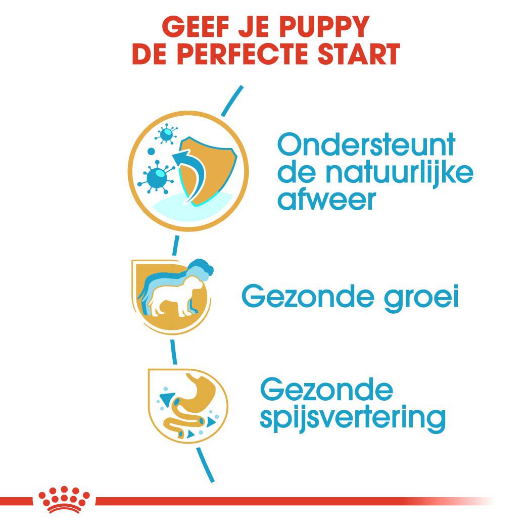 Royal Canin Jack Russell Terrier Junior - Hondenvoer - 3 - gevogelte