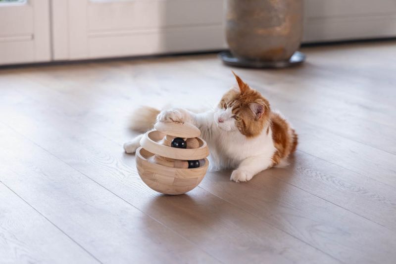 Designed by Lotte Neya - Kattenspeeltje