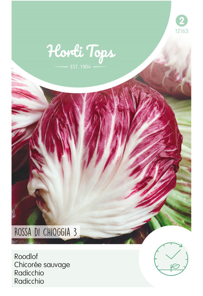 Hortitops Roodlof Cichorium intybus Radicchio Rosso Di Chioggia - Groentezaden Hortitops Roodlof Cichorium intybus Radicchio Rosso Di Chioggia - Groentezaden
