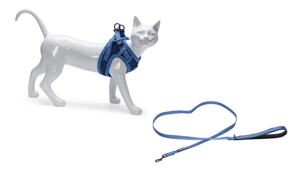Beeztees Parinca - Kattentuigje - 31 cm - Blauw - S-M Beeztees Parinca - Kattentuigje - 31 cm - Blauw - S-M
