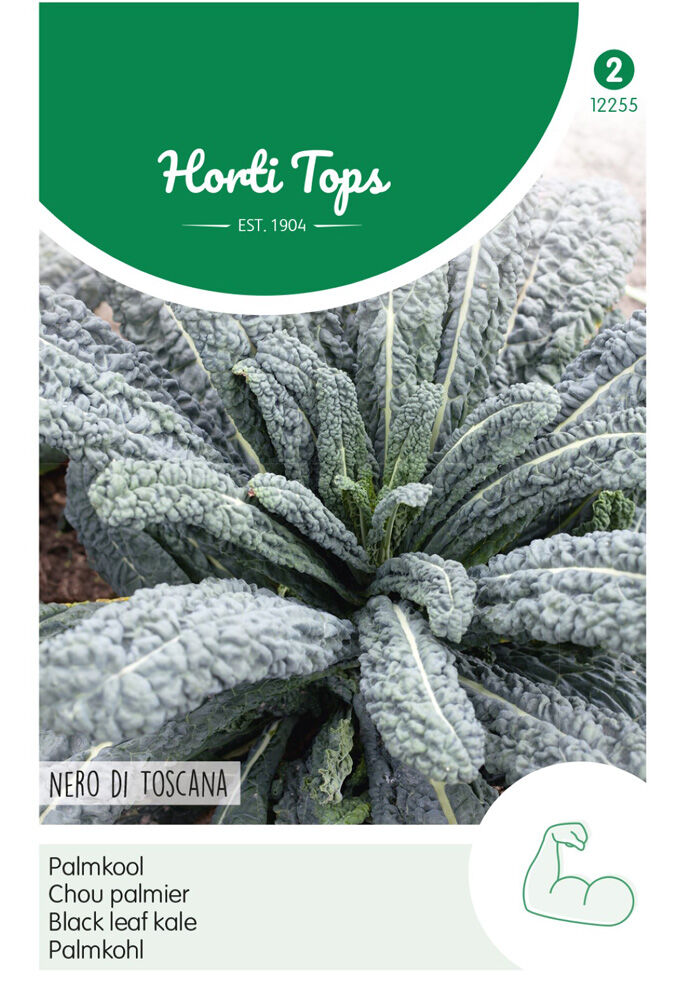 Hortitops Palmkool Brassica oleracea var. acephala Nero di Toscane - Groentezaden Hortitops Palmkool Brassica oleracea var. acephala Nero di Toscane - Groentezaden