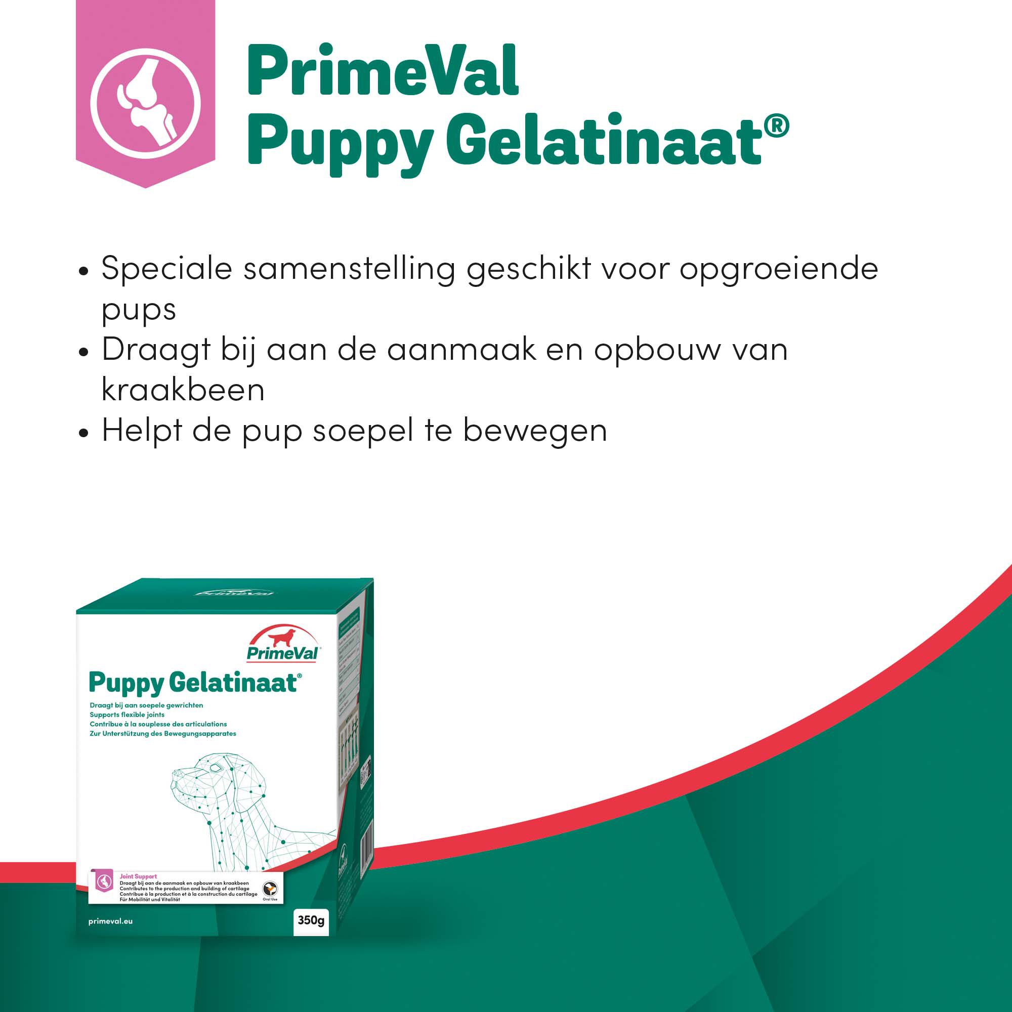 Primeval Gelatinaat Puppy - Voedingssupplement - 350