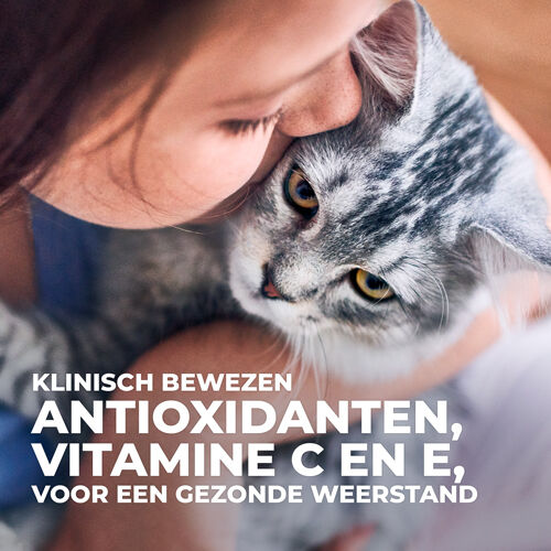 Hill's Science Plan Kitten - Kattenvoer - 12x85 gram - Kip - Vis - 1,02 kg
