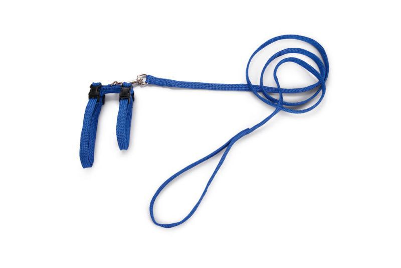 BEEZTEES - Kattentuigje - Blauw - 10 mm - 100 cm