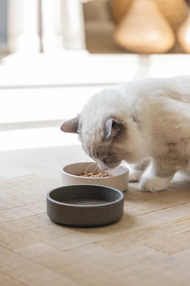 Designed by Lotte Noor - Voerbak - Beige - 4.50x12.00x12.00 cm