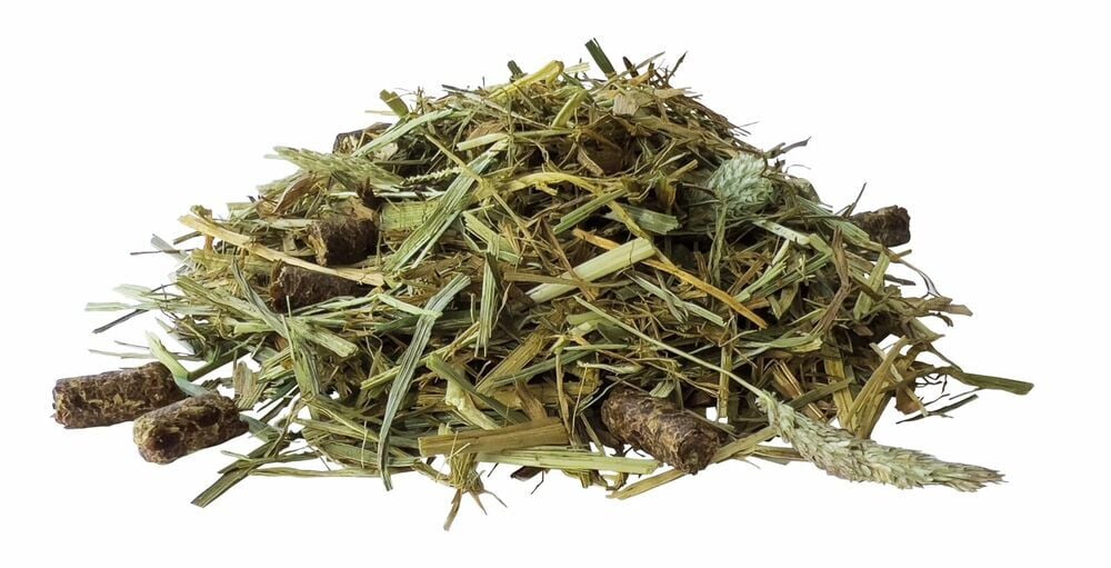 Pavo SeniorFibre - Specialiteit - 12 - Zak