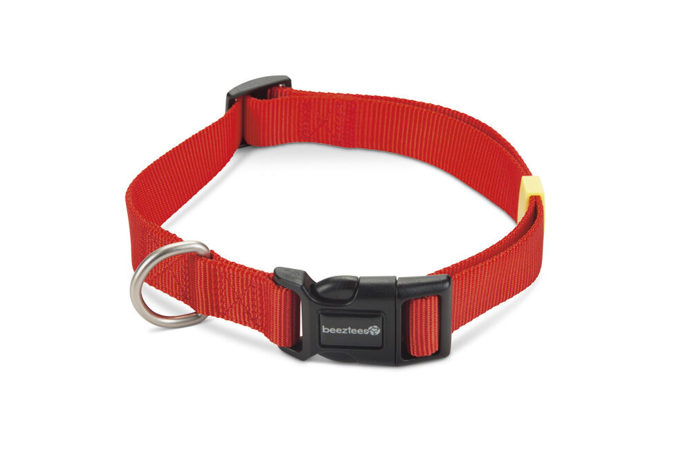 Beeztees Uni - Halsband Hond - 70 cm - 25.00 cm - rood - 25 mm - 4.20 cm - 48 tot 70 cm - 2.00 cm