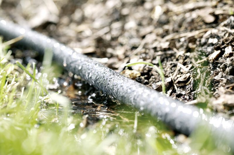 Rehau Druppelslangset - 50 m - 19 inch