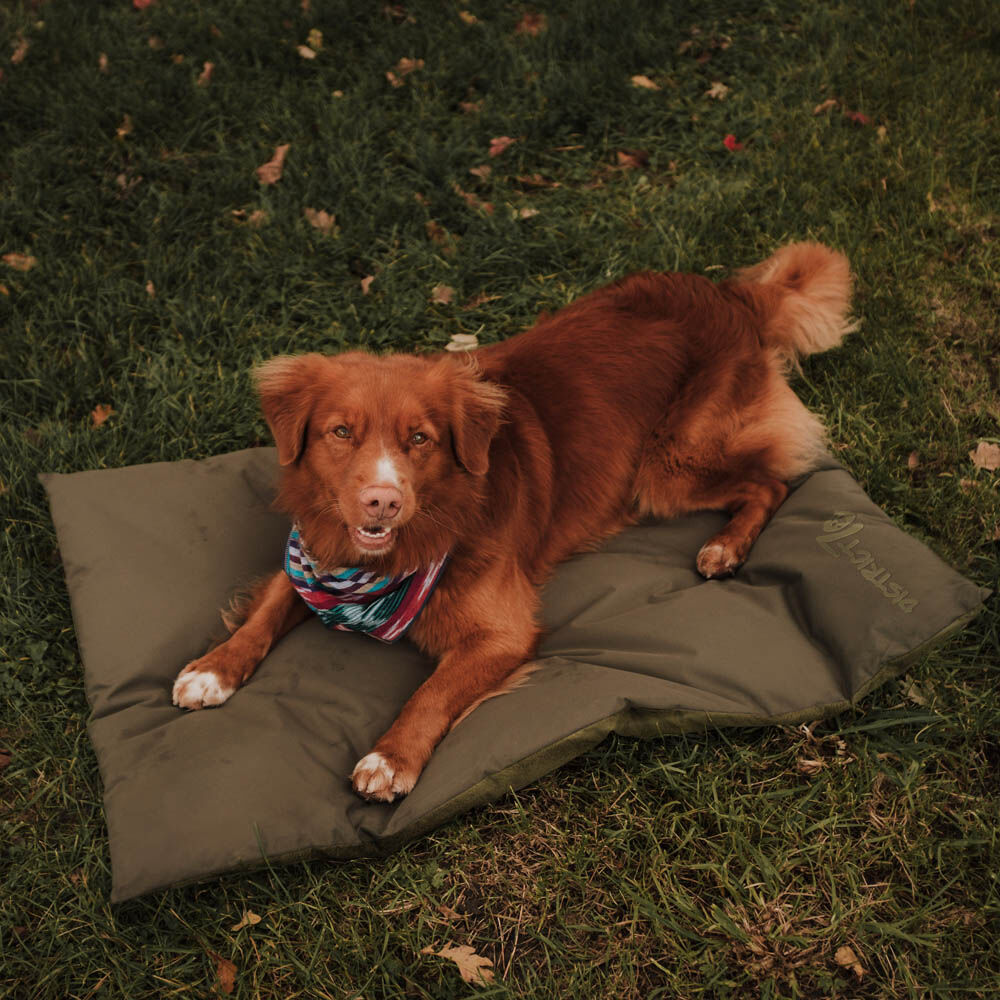 District 70 LODGE - Benchmat - 6.00 cm - antraciet - 76.00 cm - XL - 122.00 cm