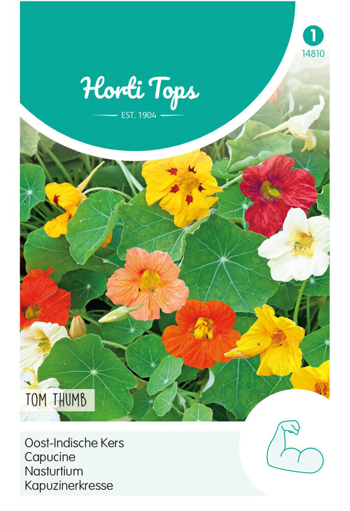 Hortitops Oost-Indische Kerst Tom Thumb - Bloemzaden Hortitops Oost-Indische Kerst Tom Thumb - Bloemzaden
