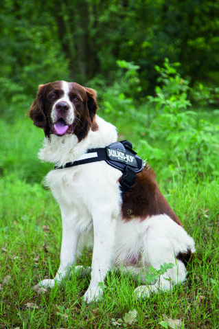 Julius K9 - Hondentuig - Antraciet - Maat 2 - 96 cm