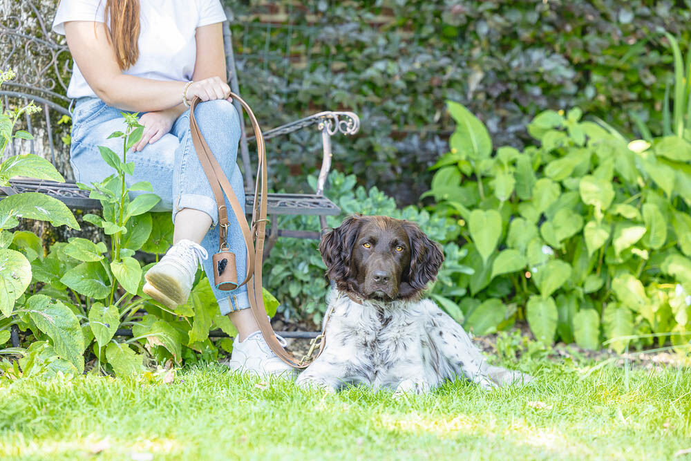 Beeztees Balacron - Poepzakhouder Hond - bruin