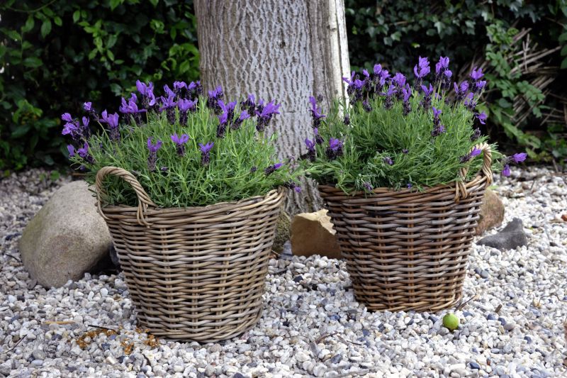 Aardappelmand Lana - 45 cm