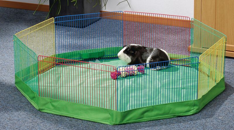 Beeztees Bodemhoes voor Knaagdieren 8 panelen - Groen - 21.5x85x7.5 cm