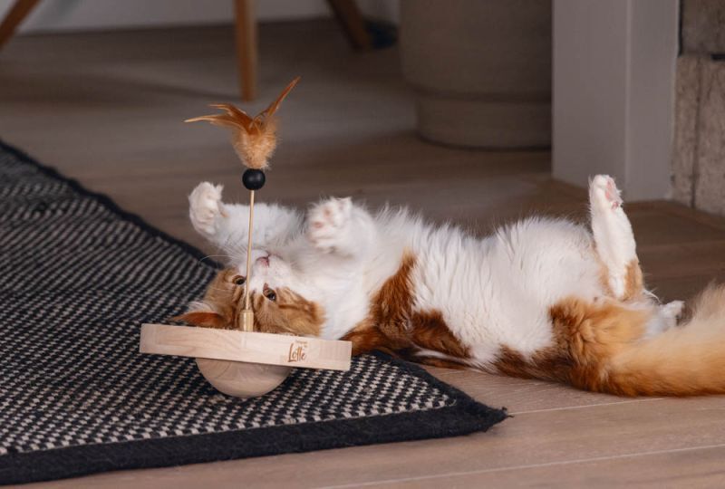 Designed by Lotte Winni - Kattenspeeltje