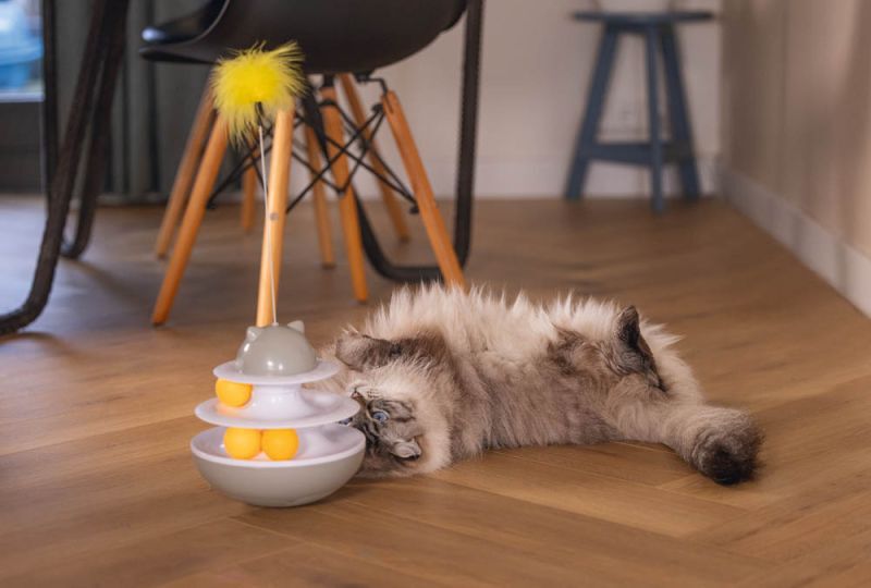 Beeztees Sapi - Kattenspeeltje