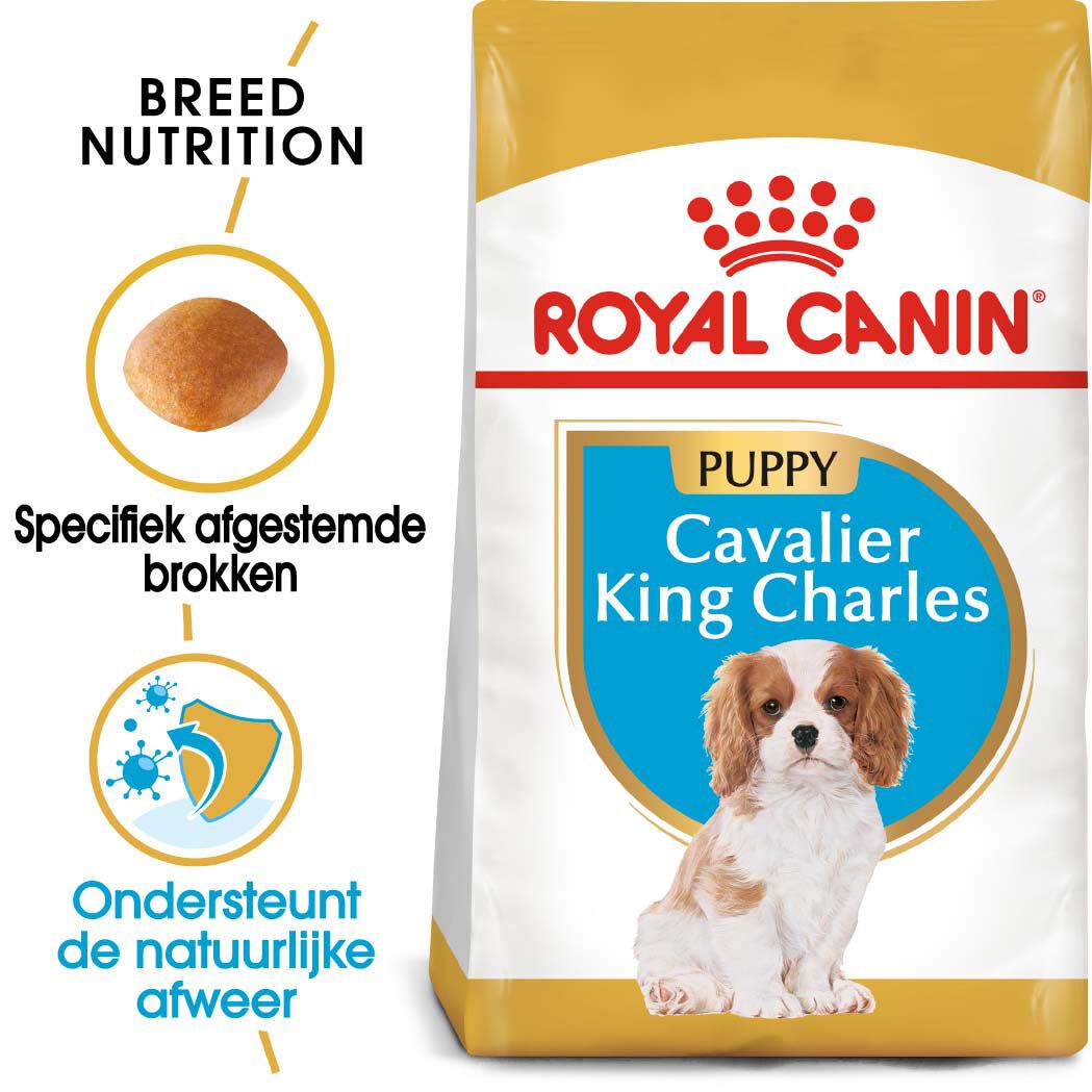 Royal Canin Cavalier King Charles Puppy - Hondenvoer - 1.5 - gevogelte