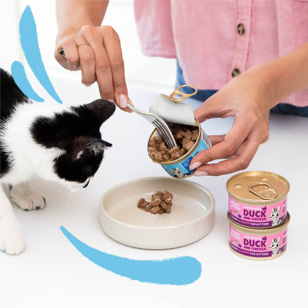 Edgard & Cooper Stukjes in saus - Kattenvoer - Kabeljauw - Kip - 85 gram