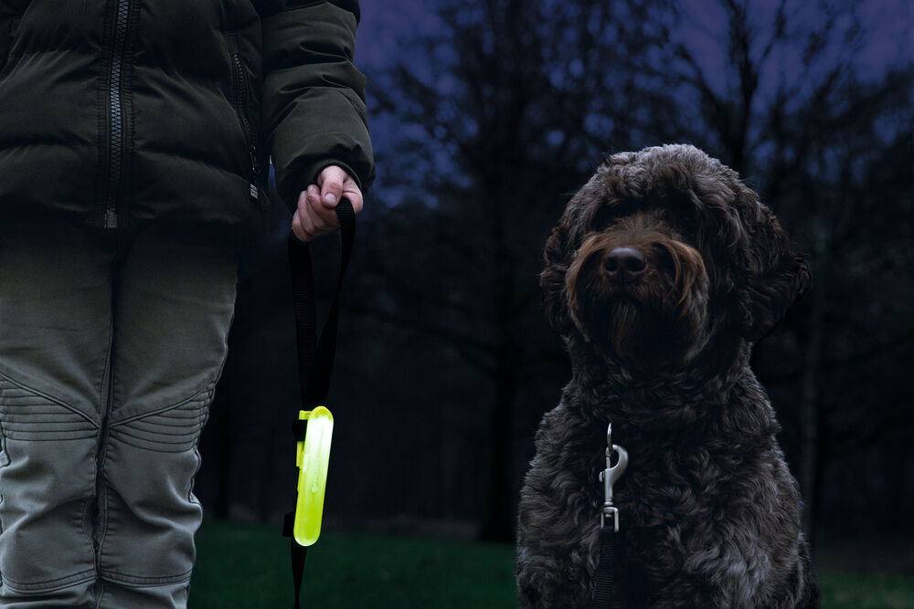 Beeztees - Veiligheidsstrip Hond - Geel - 12 cm