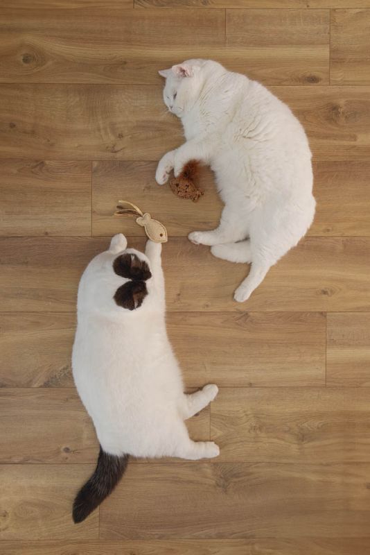 Beeztees Visje Sadie - Kattenspeeltje - Beige