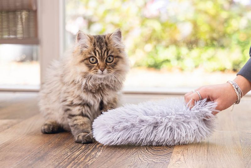 Beeztees Kitten Plu - Kattenspeeltje - Grijs