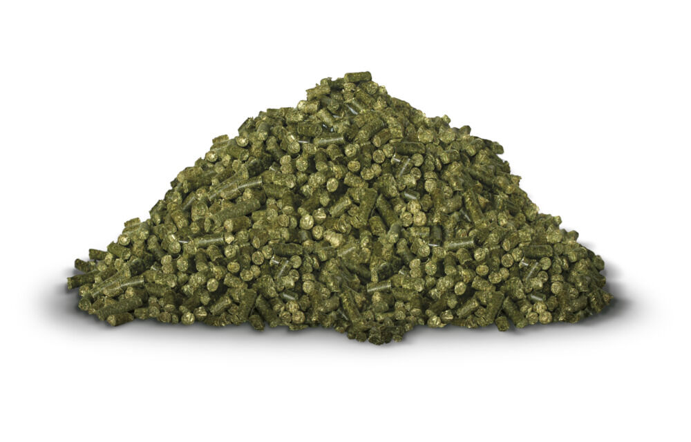Hartog Lucerne Pellets - Basisvoeding - Paardenvoer - 20 kg