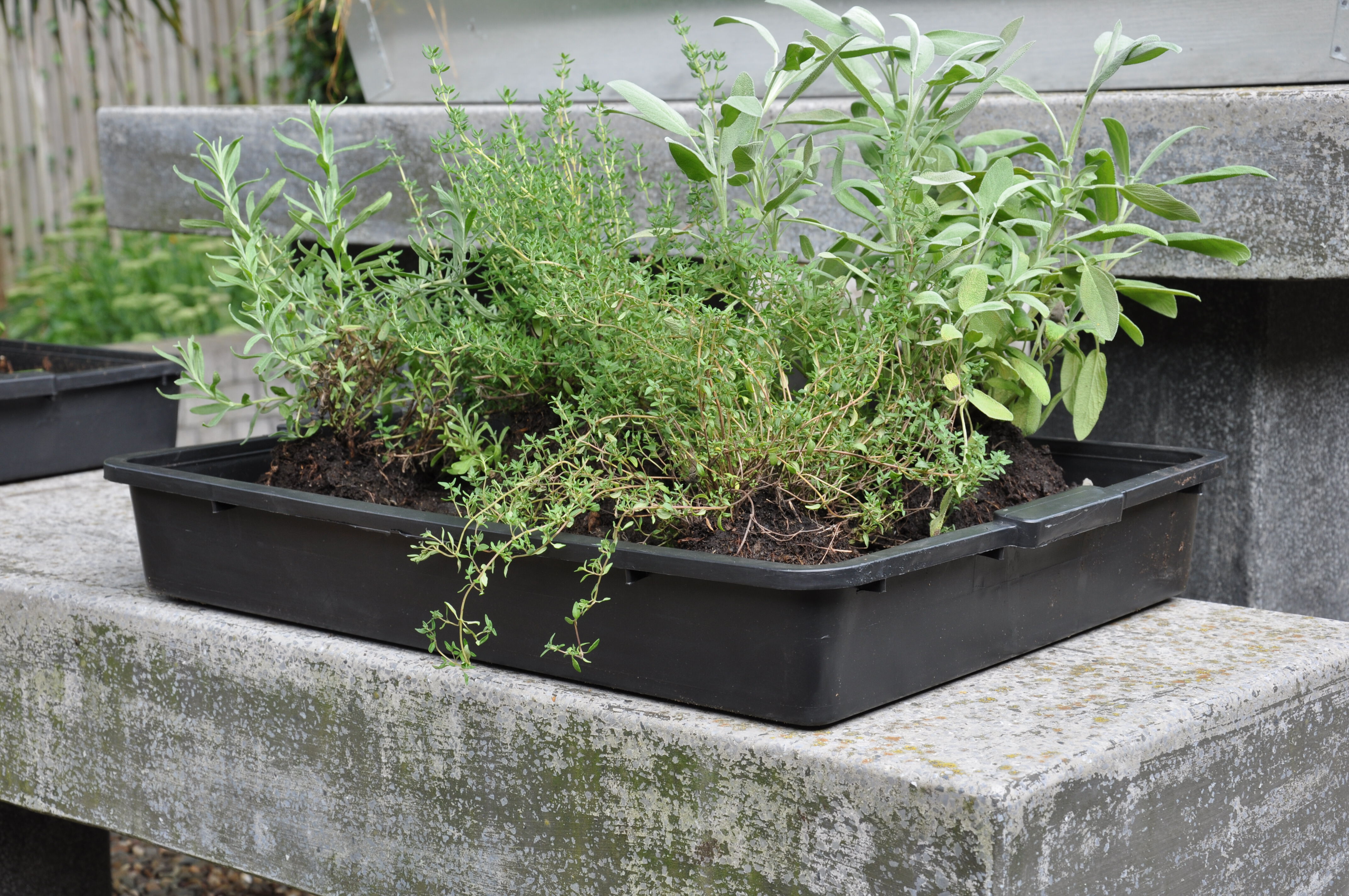 Royal Well Zaaikist 15L  - Kas accessoires - Zwart - 9x39x54 cm