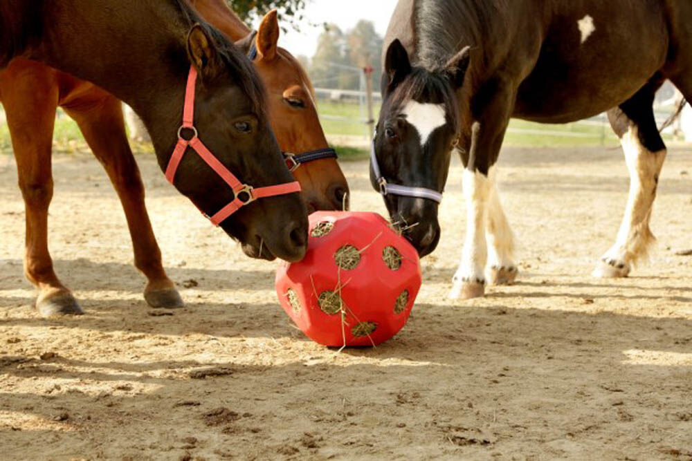 Kerbl Grote paarden - Voerspeelbal - Rood
