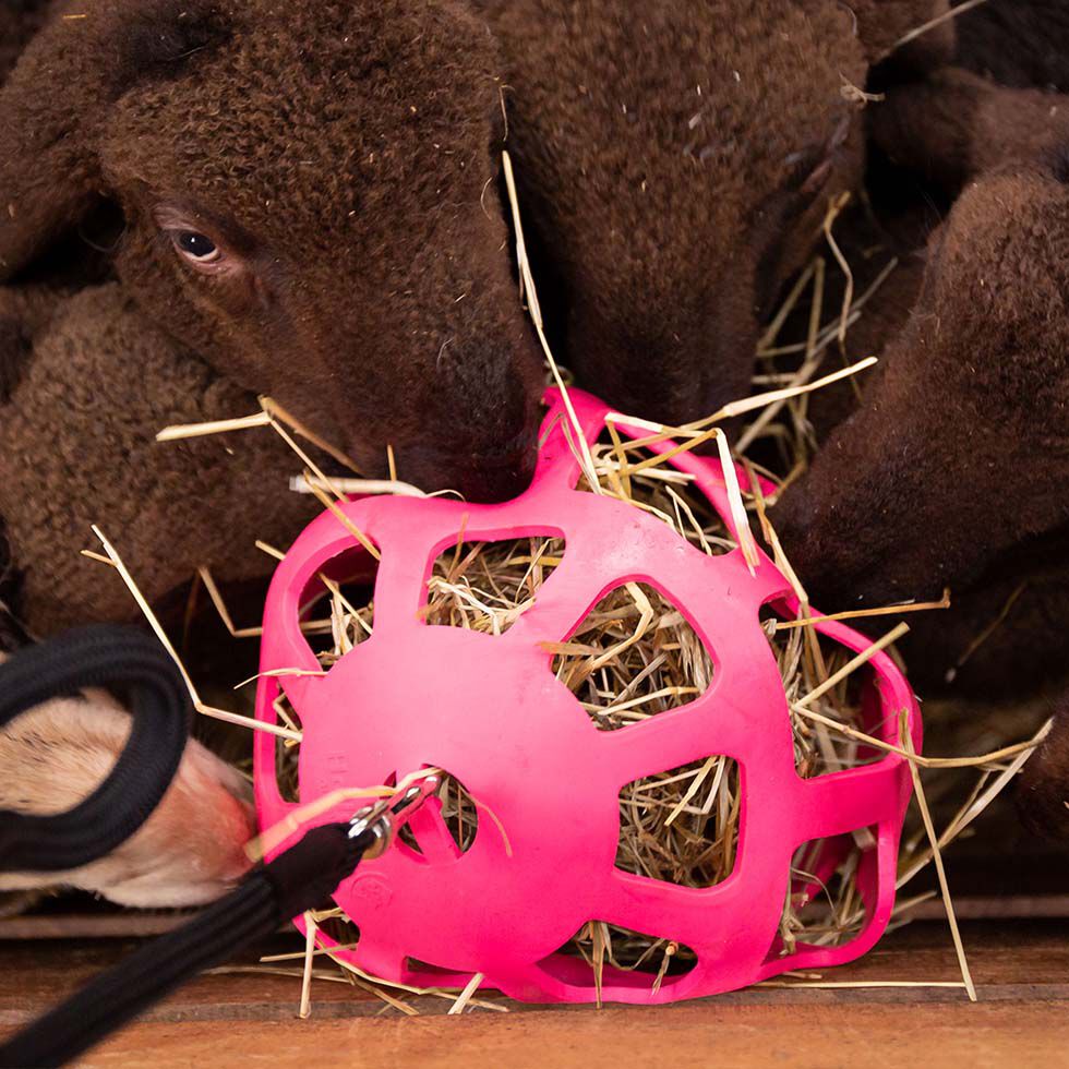 Excellent Hay Slowfeeder - Voerbal - Roze - Natuurrubber