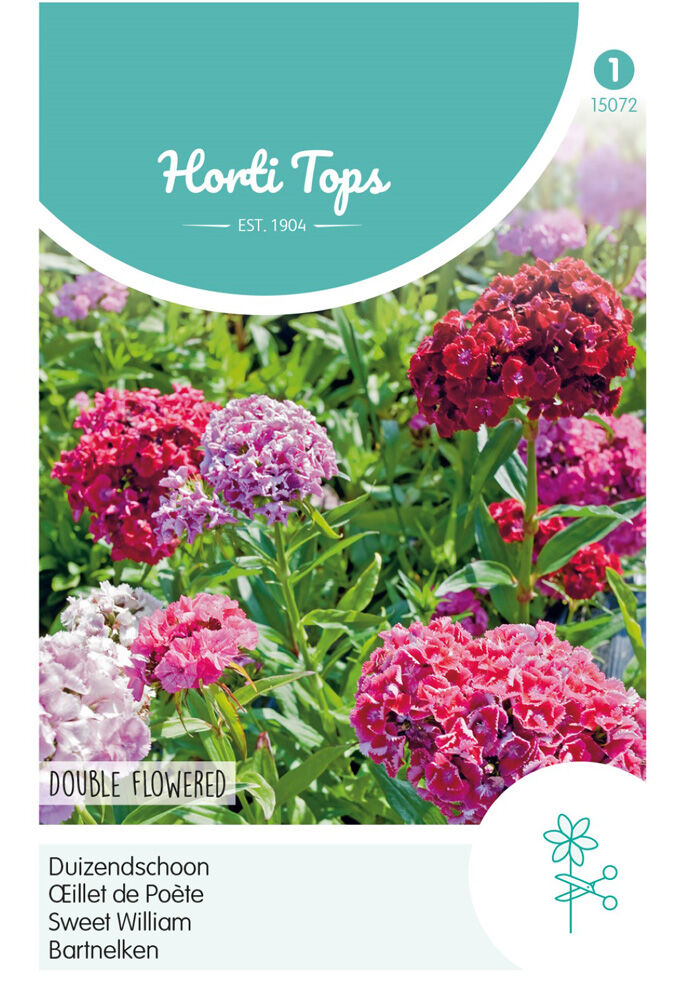 Hortitops Duizendschoon laag - Bloemzaden Hortitops Duizendschoon laag - Bloemzaden