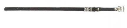 Beeztees - Kattenhalsbandje - 27 cm - 42.00 cm - Zwart - 10 mm - 4.00 cm - 2.00 cm