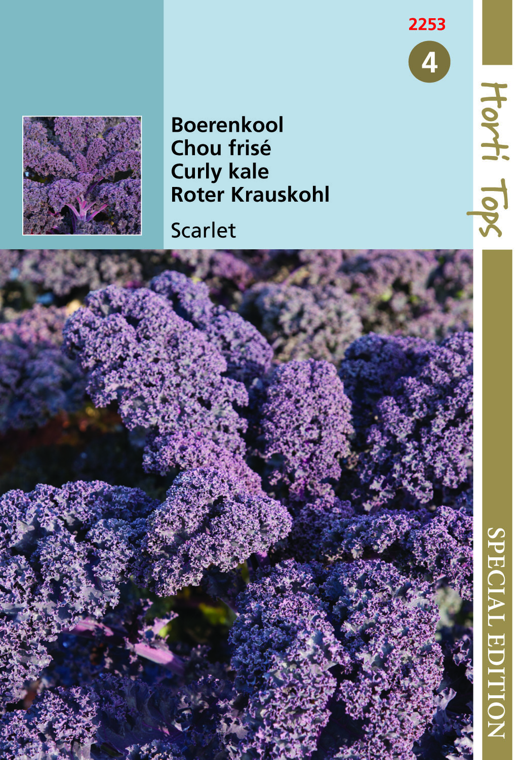 Hortitops Boerenkool Paars Scarlet Brassica oleracea - Groentezaden Hortitops Boerenkool Paars Scarlet Brassica oleracea - Groentezaden