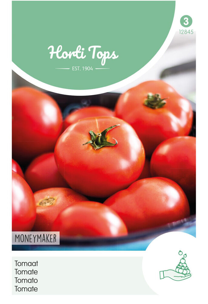 Hortitops Tomaten Solanum lycopersicum L. (syn L. esculentum) Moneymaker - Groentezaden Hortitops Tomaten Solanum lycopersicum L. (syn L. esculentum) Moneymaker - Groentezaden