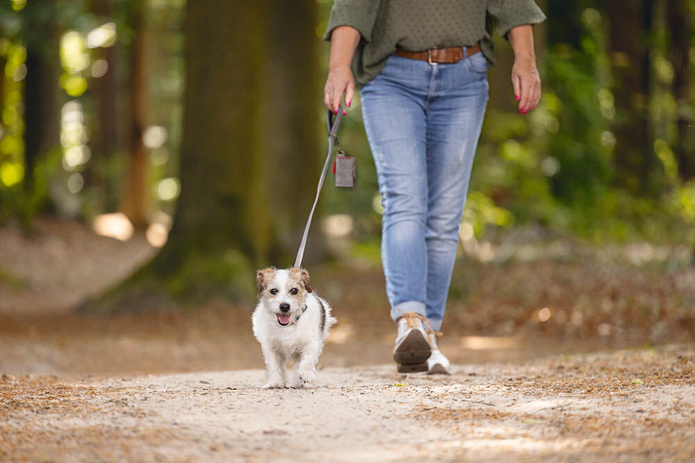 Beeztees Balacron - Poepzakhouder Hond - grijs