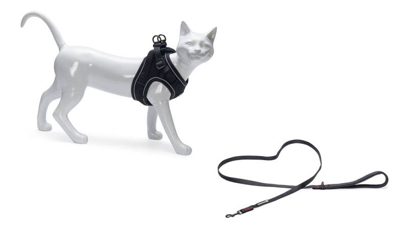 Beeztees Parinca - Kattentuigje - 31 cm - Zwart - S-M