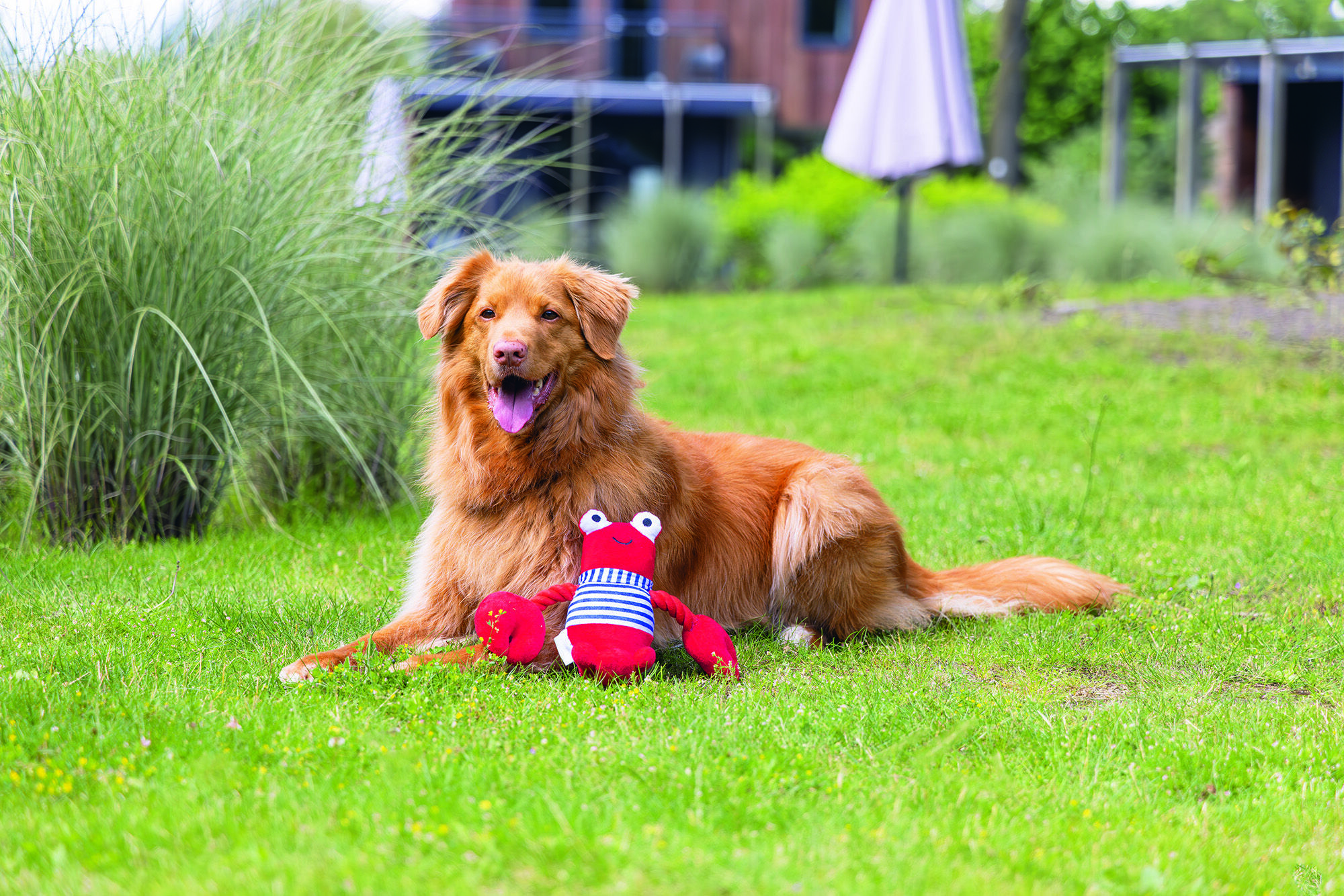 Beeztees Kreeft Frits - Knuffel - Hondenspeeltje - Rood - 13x38x24 cm