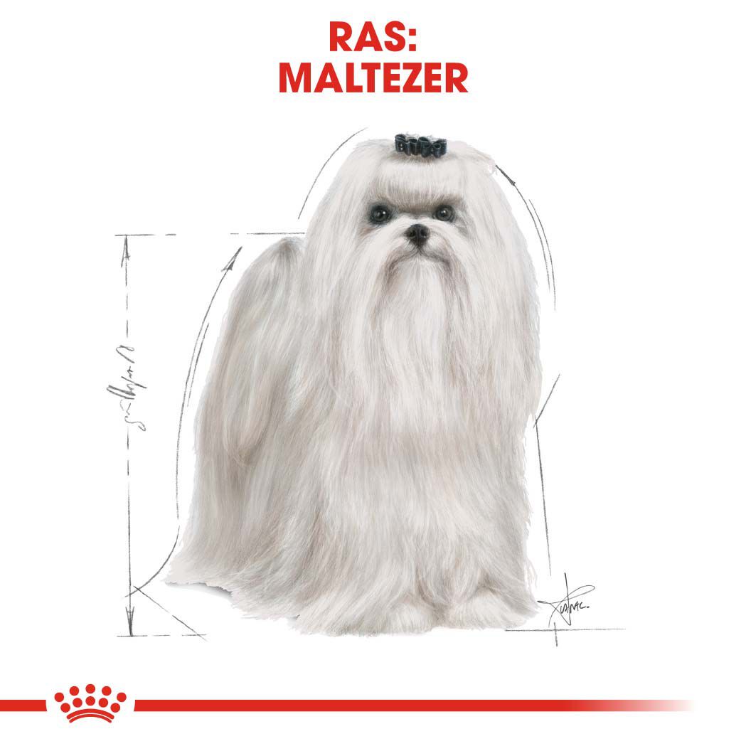 Royal Canin Maltese Adult - Hondenvoer - 1.5 - gevogelte