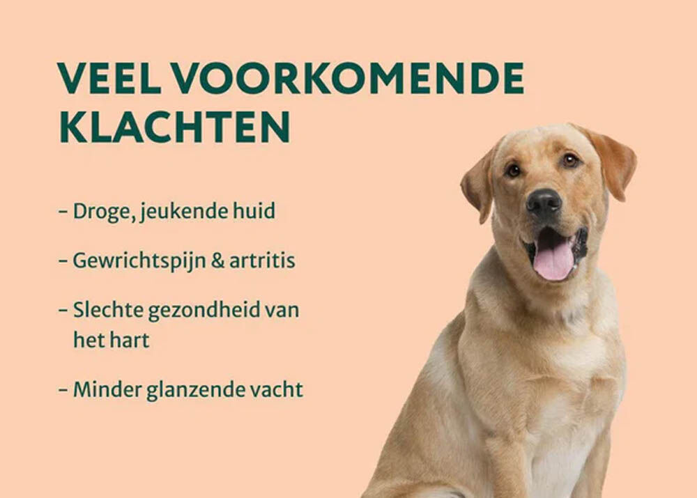 Dogsuppy Omega 3-6-9 - Zalmolie - 1.00 cm - 100.00 - 1.00 cm - 1.00 cm