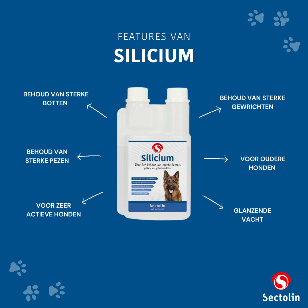 Sectolin Silicium - Gewrichten en botten Hond Sectolin Silicium - Gewrichten en botten Hond