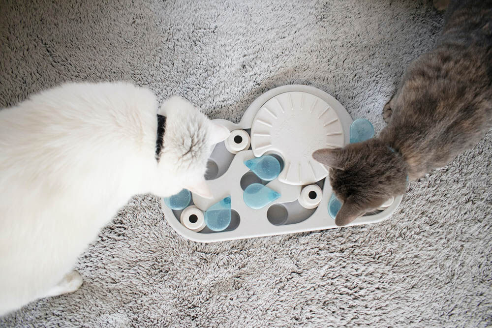 Nina Ottosson Rainy Day Puzzle & Play - Kattenspel
