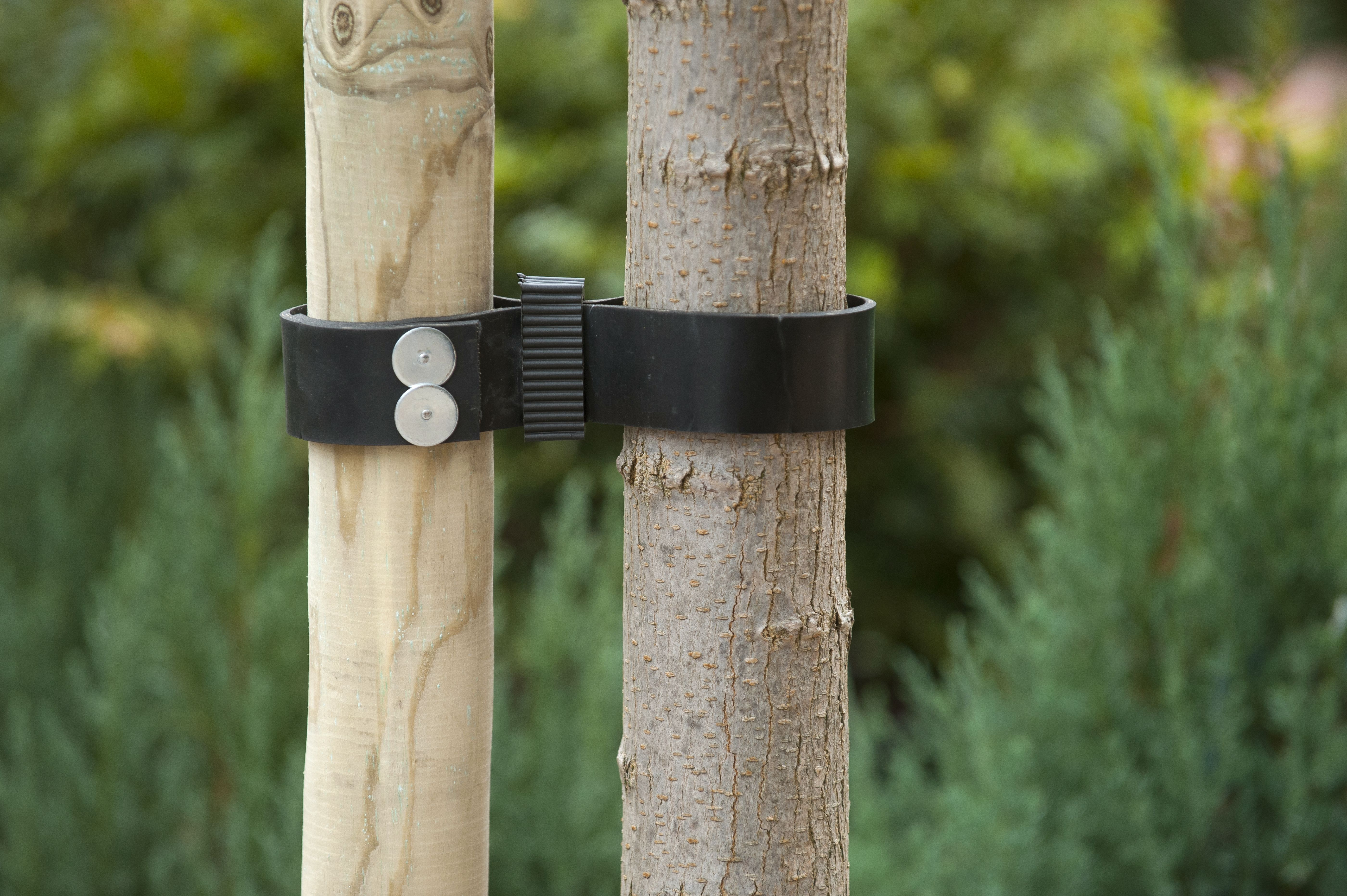 Nature Boomband - 60x3.8cm - Touw en Bindmaterialen Nature Boomband - 60x3.8cm - Touw en Bindmaterialen