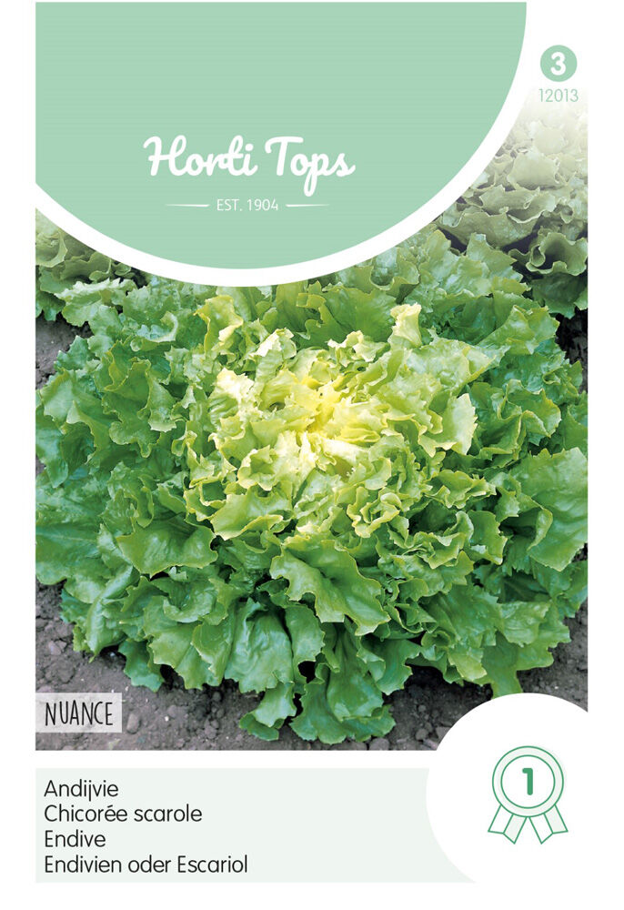 Hortitops Andijvie Cichorium endivia Nuance - Groentezaden Hortitops Andijvie Cichorium endivia Nuance - Groentezaden