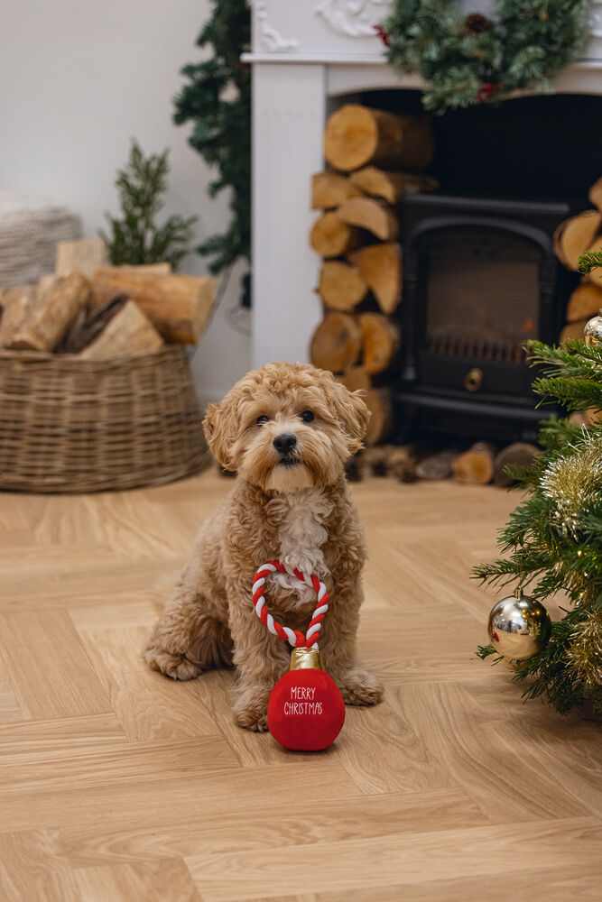 Beeztees Kerstbal Jingle Knuffel - Hondenspeelgoed