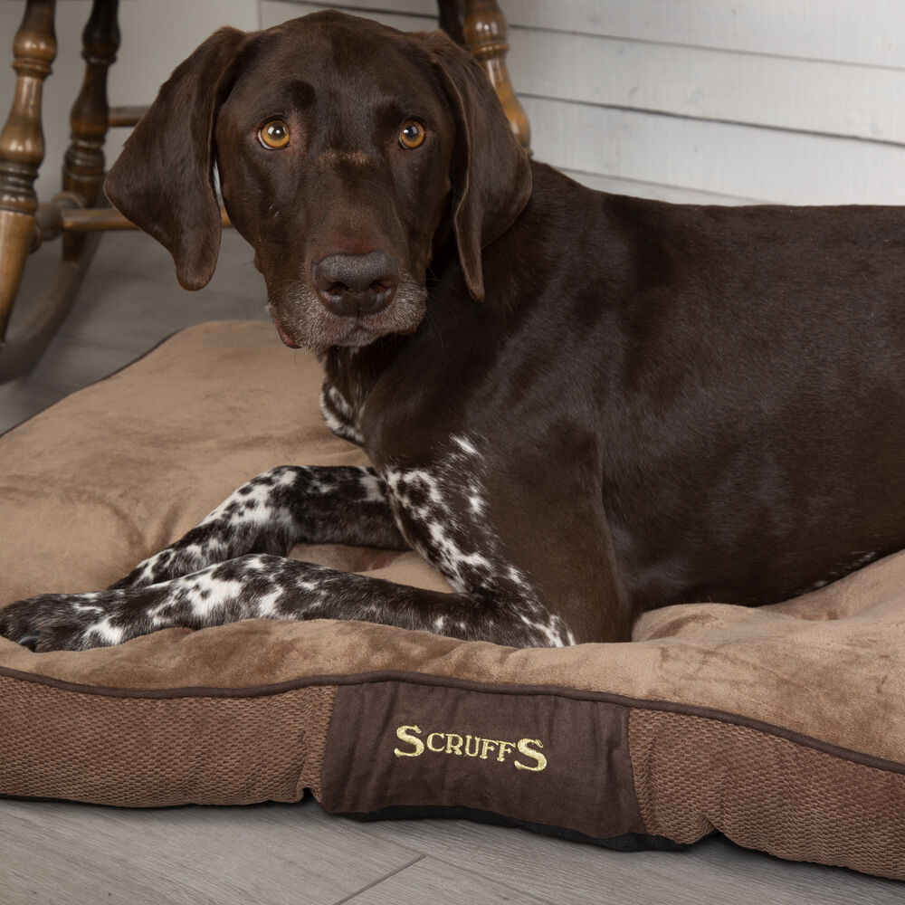 Scruffs Chester - Hondenkussen - 1.00 cm - bruin - 82.00 cm - L - 1.00 cm