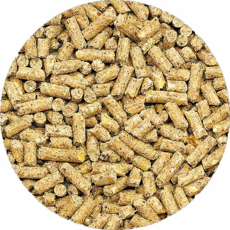 Welkoop Kippenkorrel - Kippenvoer - 20