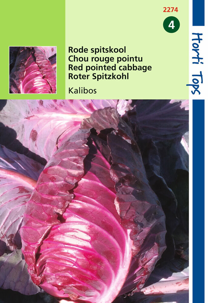 Hortitops Rode kool Kalibos - Groentezaden Hortitops Rode kool Kalibos - Groentezaden