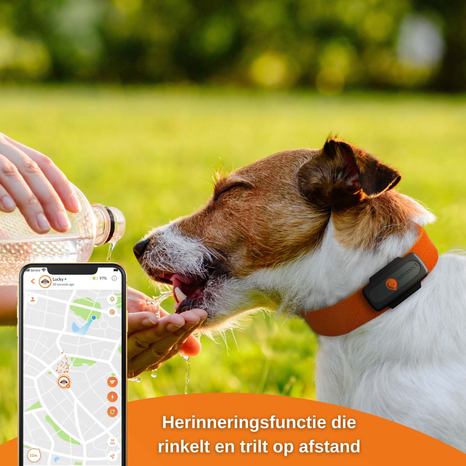Weenect - GPS tracker Hond - 1.50 cm - zwart - 2.40 cm - XS - 6.00 cm