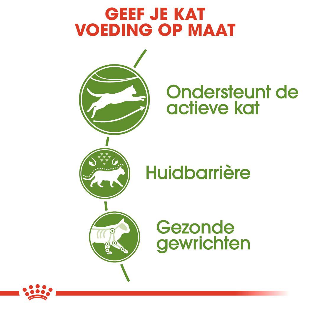 Royal Canin Outdoor - Kattenvoer - 10 - Gevogelte