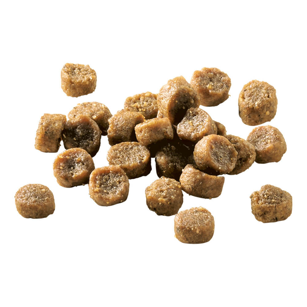 Welkoop Kitten brokjes - Kattenvoer - 10 - gevogelte